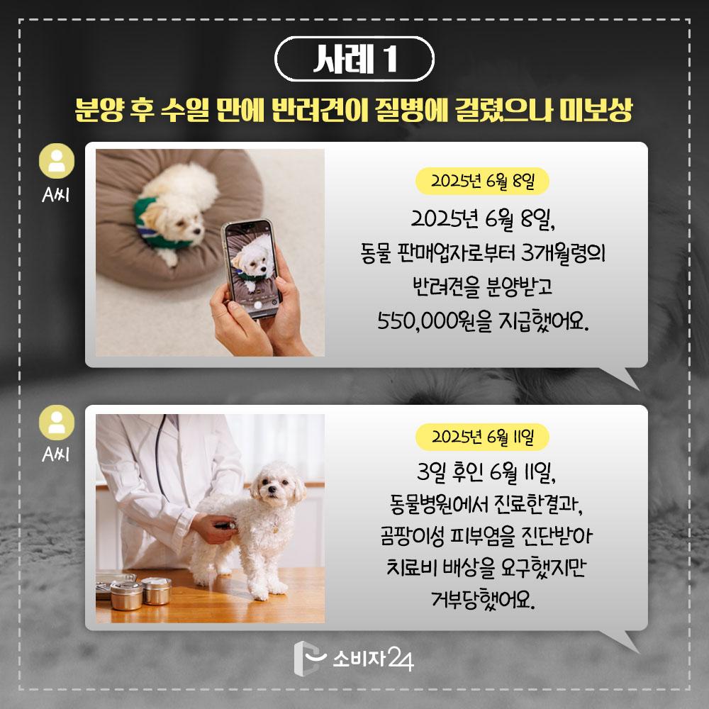 반려동물매매계약_피해예방정보4.jpg