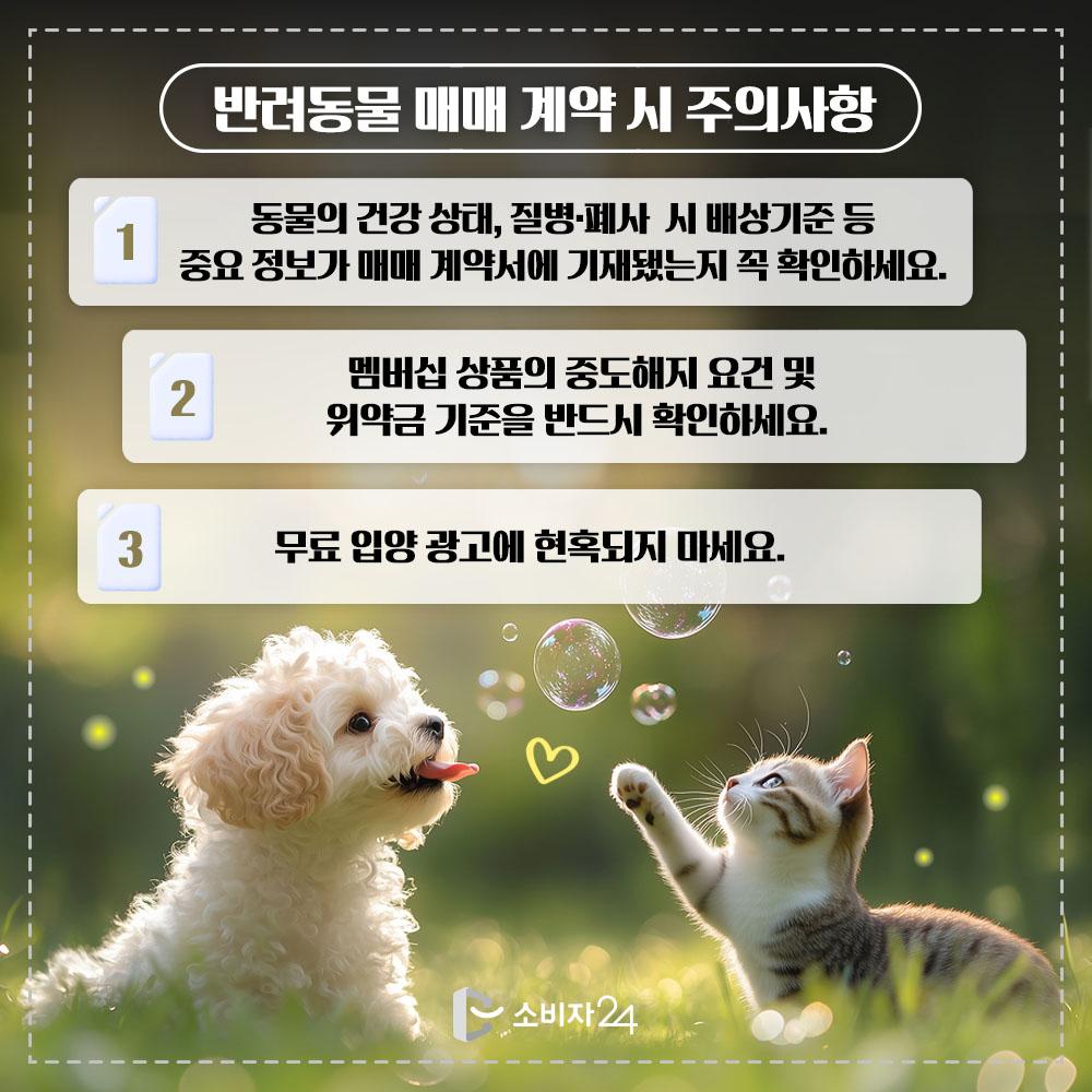 반려동물매매계약_피해예방정보7.jpg