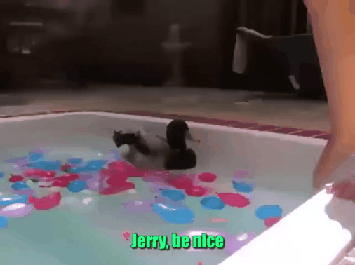 GIF_20260304_175209_147.gif