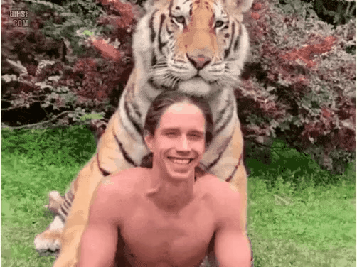 GIF_20260304_193033_766.gif
