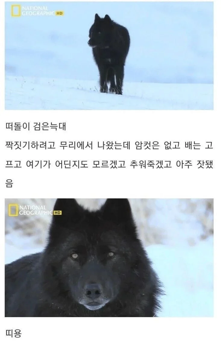 30.webp