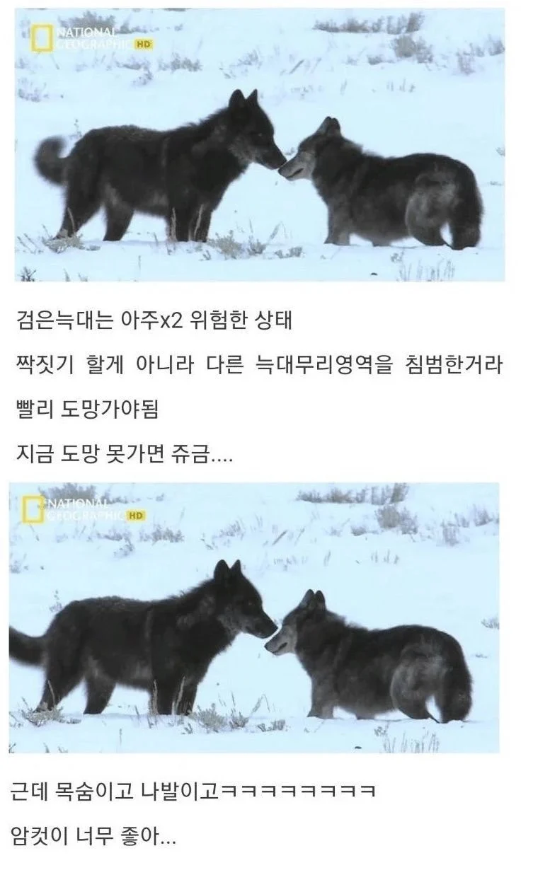 32.webp