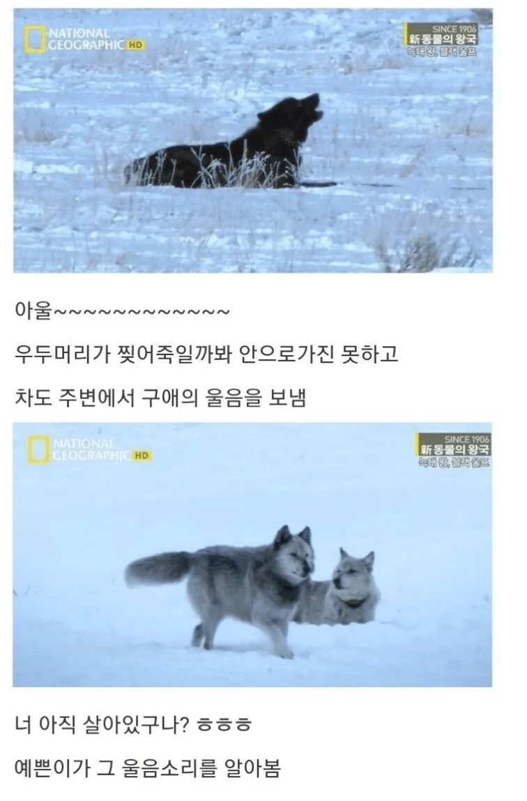 38.webp