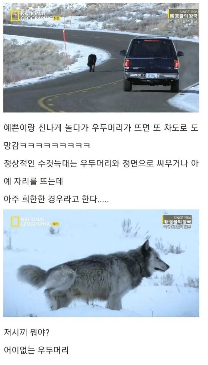 39.webp