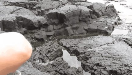 GIF_20260305_094512_013.gif