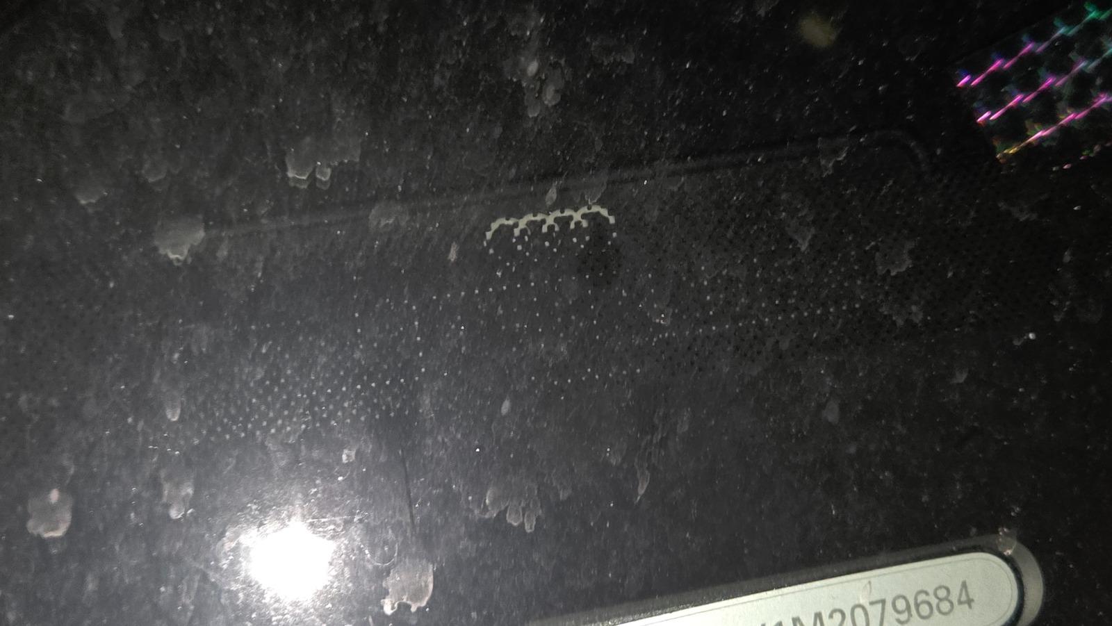 1000026040.jpg