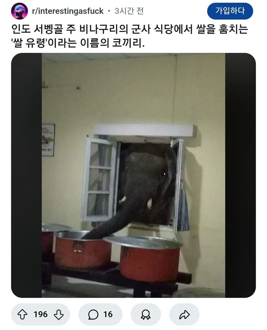 1000087151.webp