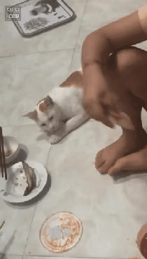 GIF_20260307_125234_045.gif