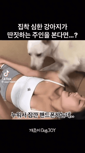 GIF_20260307_131731_008.gif
