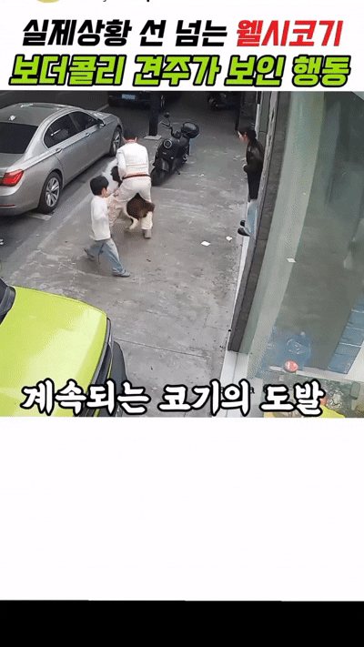 1000039011.gif
