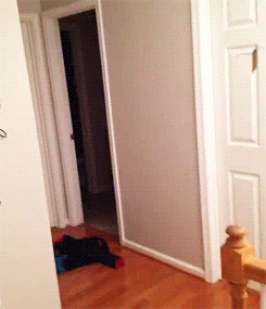 1000057985.gif