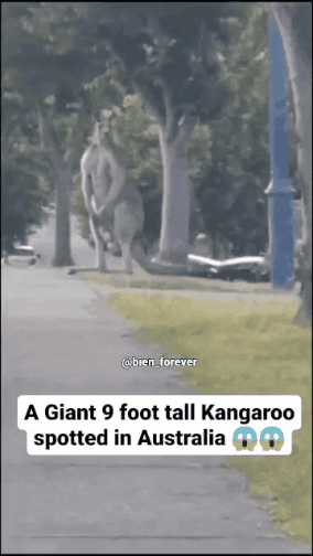 GIF_20260308_101559_208.gif