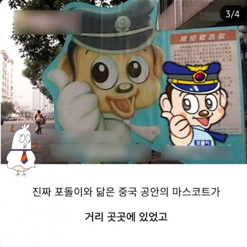 1772945271357-3.jpg