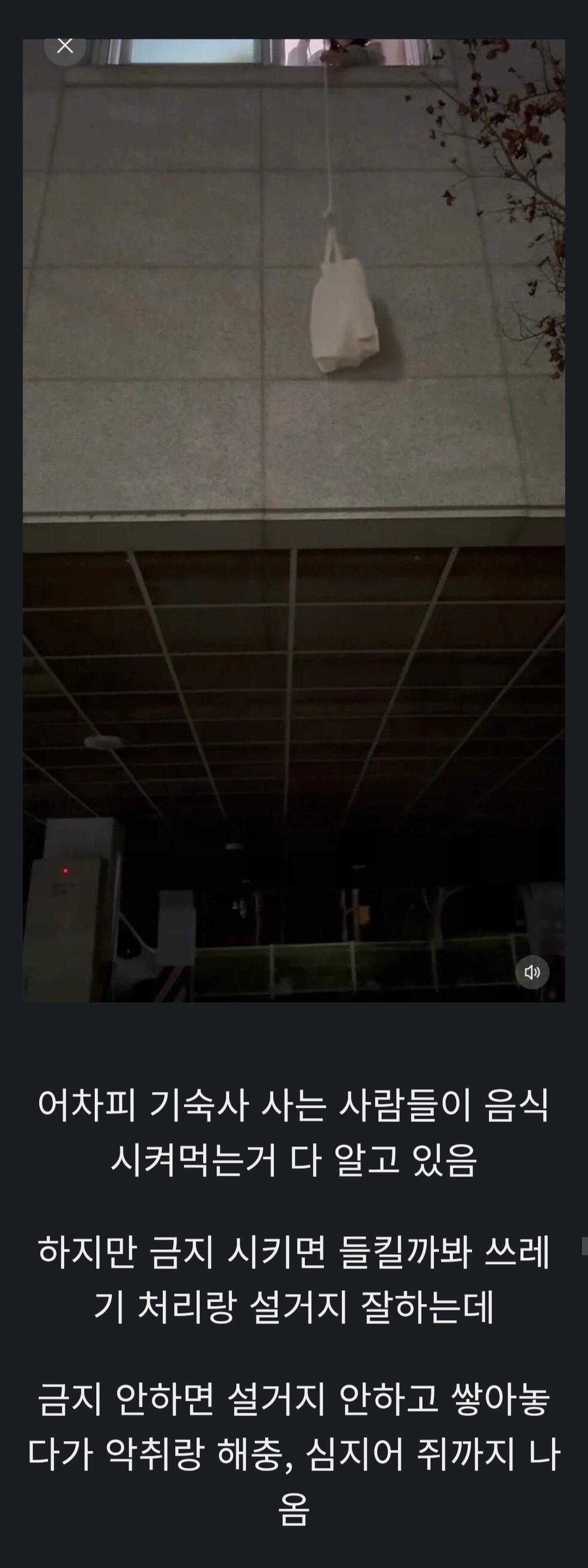 1000087458.jpg