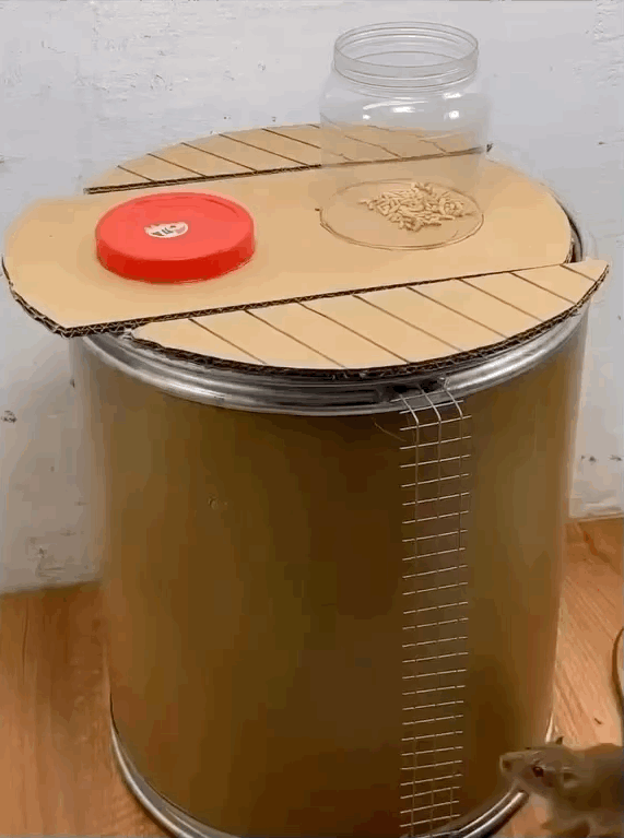IMB_SD9X3w.gif