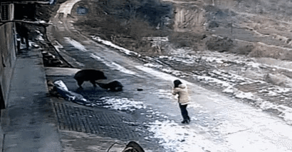 GIF_20260309_183629_397.gif