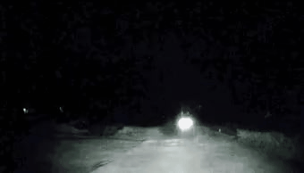 GIF_20260310_102513_797.gif