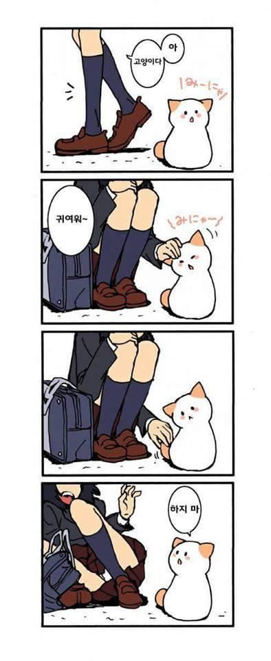 1000092549.jpg