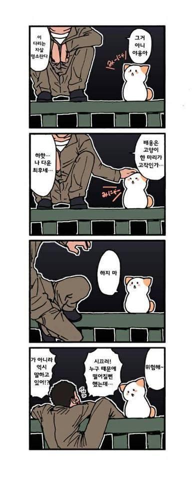 1000092548.jpg