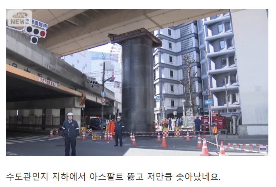 오사카.png