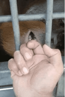 GIF_20260311_204502_130.gif