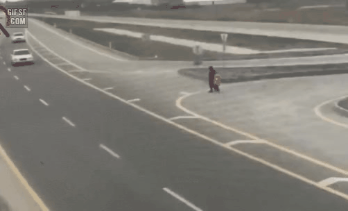GIF_20260312_091941_034.gif