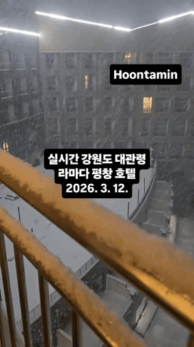 GIF_20260313_085834_057.gif
