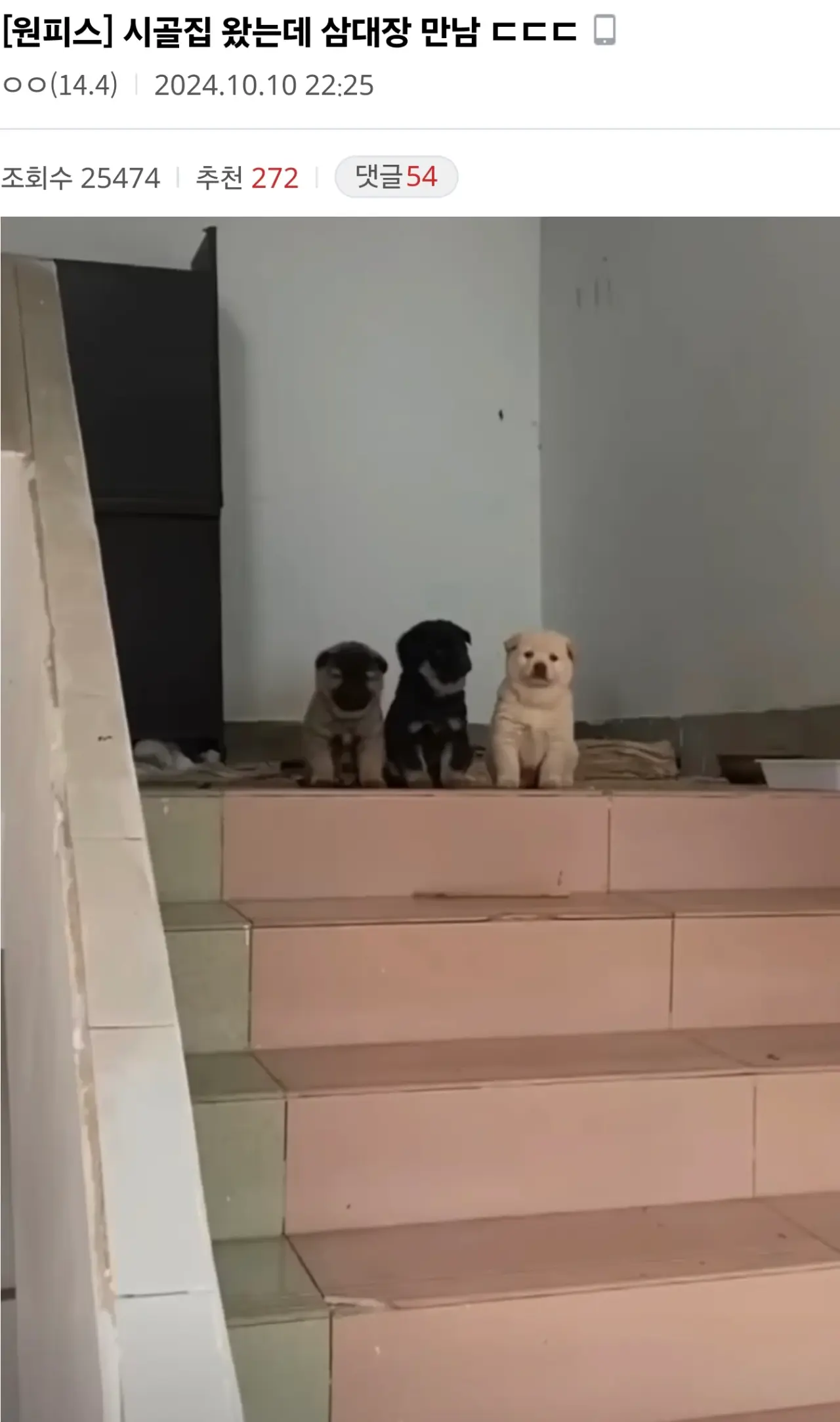 클릭하시면 원본 이미지를 보실 수 있습니다.