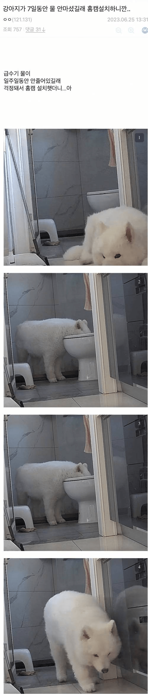 1000092821.png