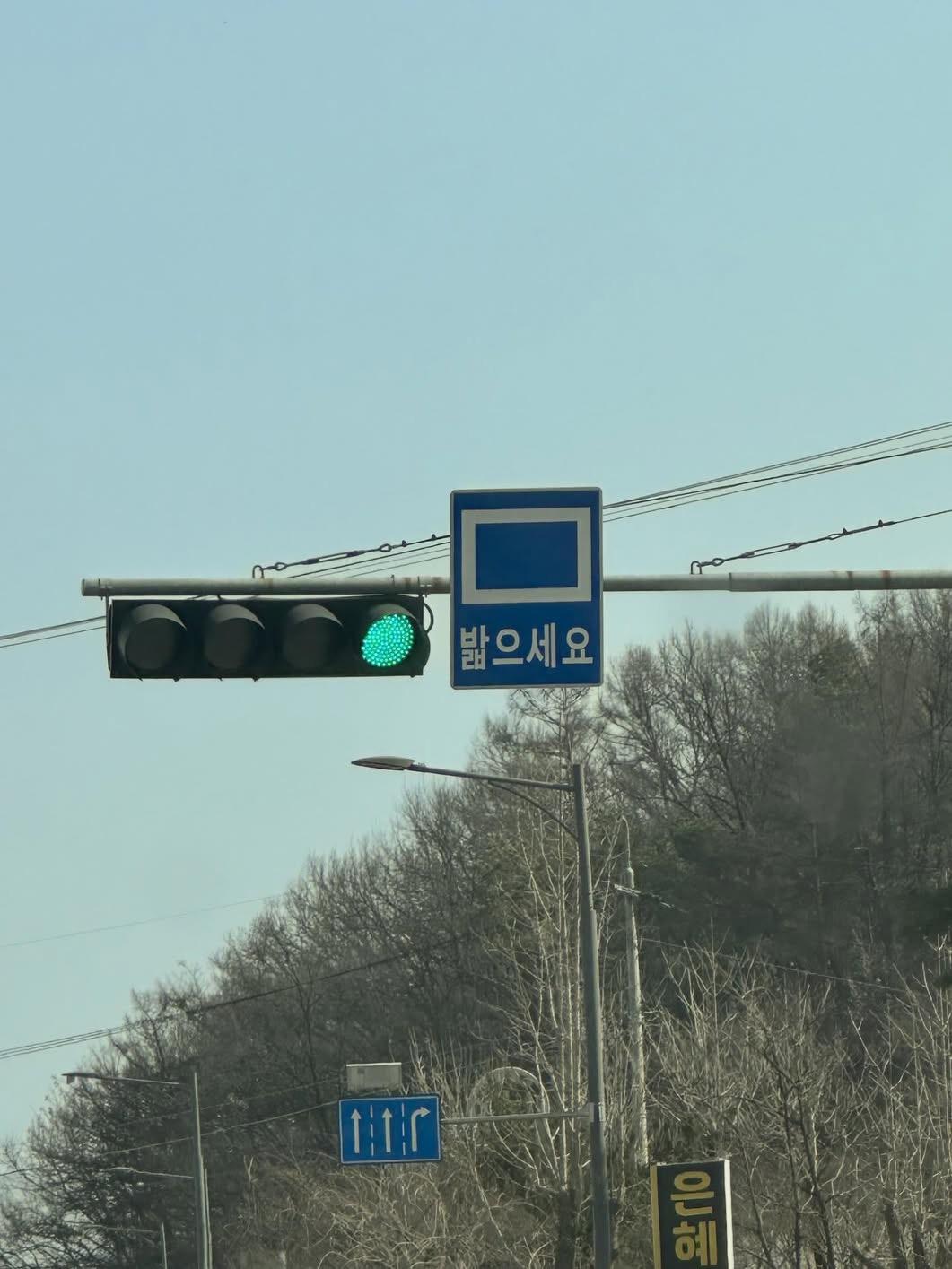 IMG_4804.jpeg