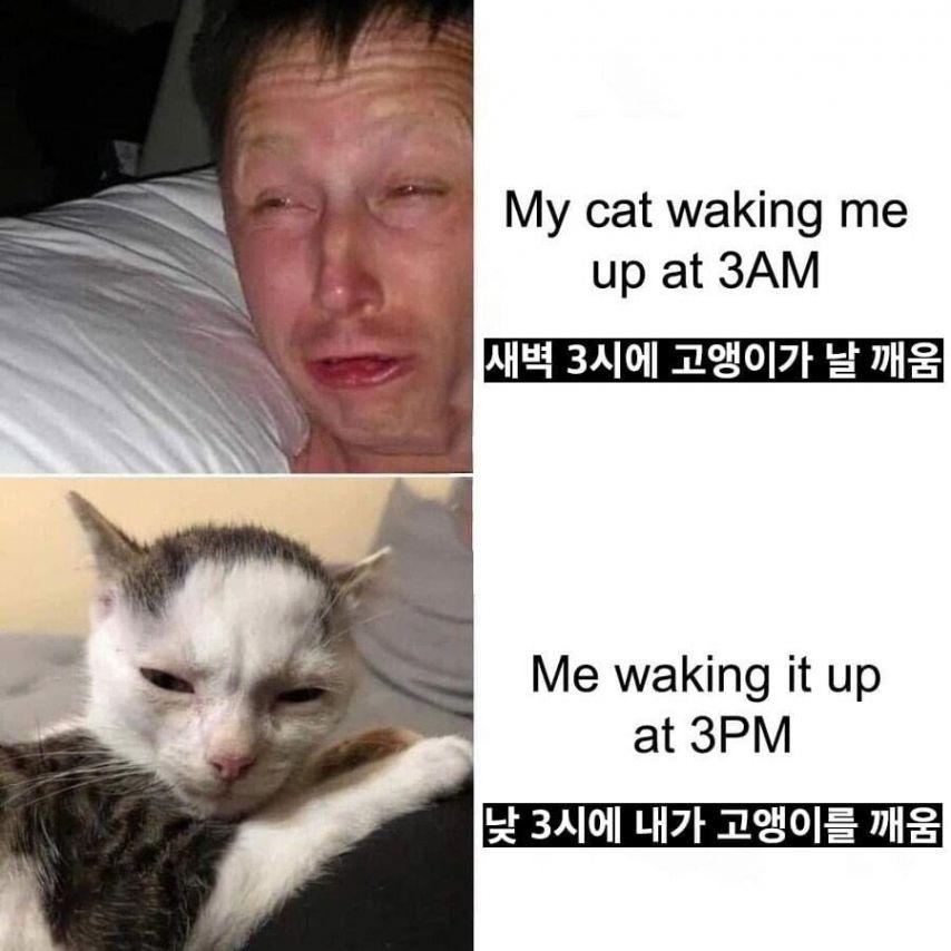 1000088199.jpg