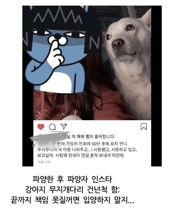 1000020108.webp