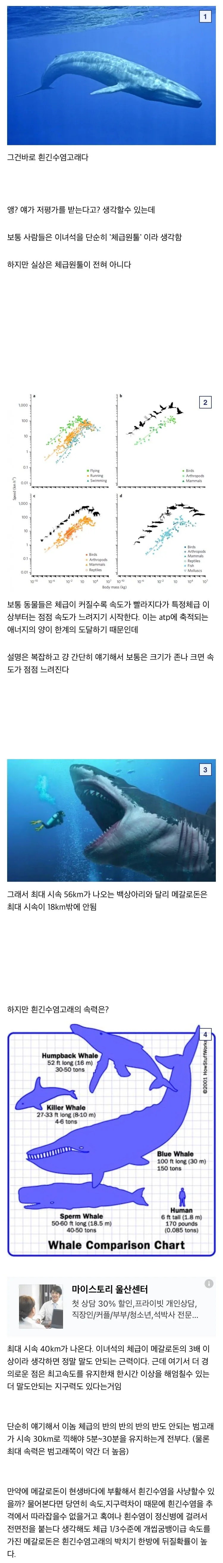 1000020205.webp