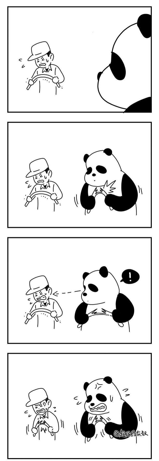 982343771_0KNhO1Po_SdbDXMqtnl4FmTf3.jpg
