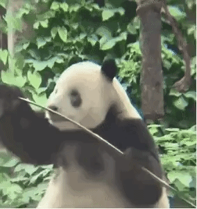 ezgif-37c7053ec500a2e5.gif