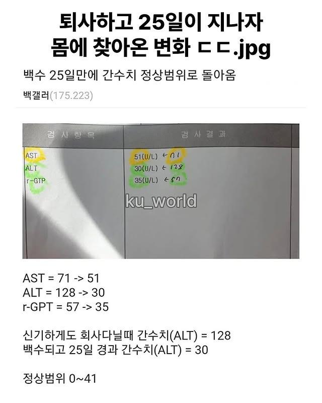 IMG_4826.jpeg