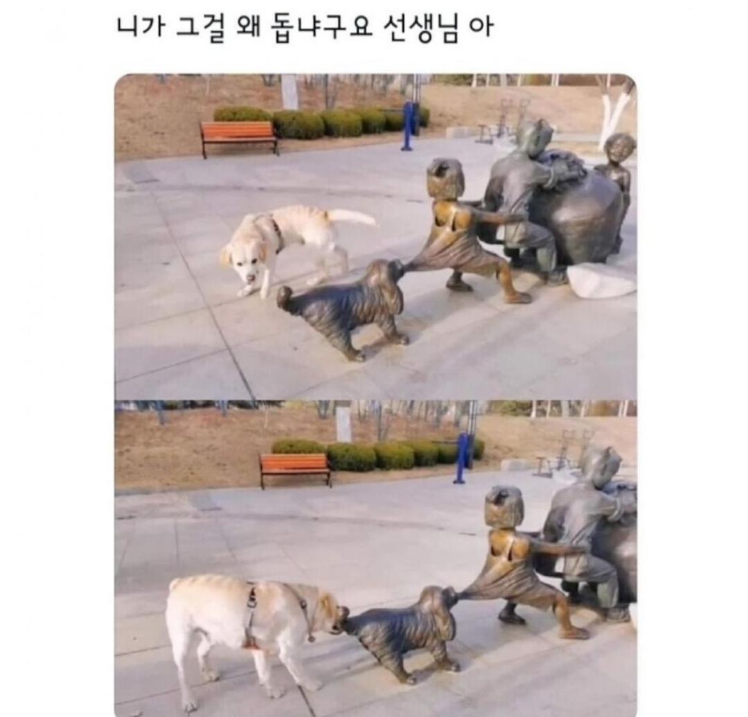 1000031940.jpg