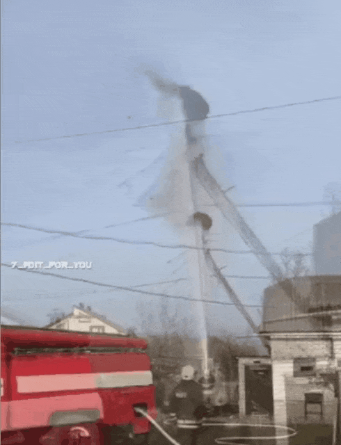 rodk1713086018_225270314.gif
