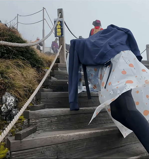 64012.gif