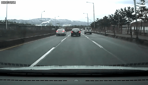 01.gif