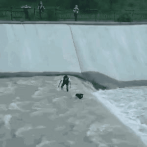 GIF_20260317_082552_541.gif