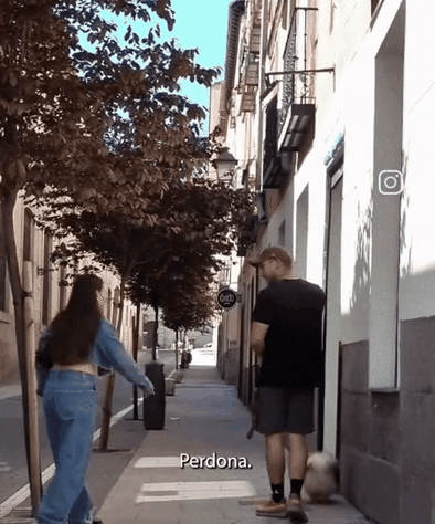 Animation.gif