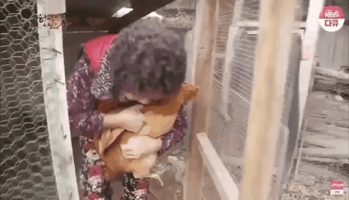 GIF_20260317_091629_388.gif