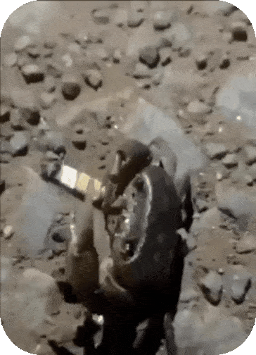 et4e1690792831_1987143658.gif