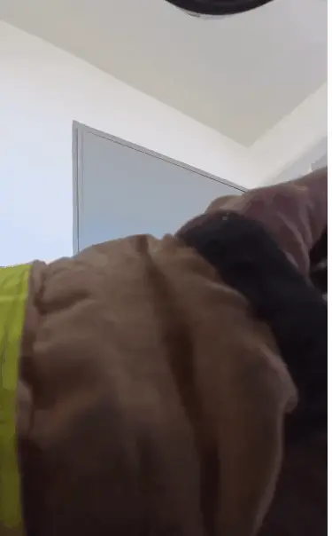 AC_[20260317-145215].webp