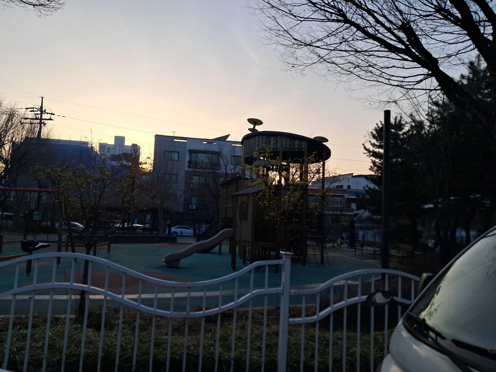 20260317_180759.jpg