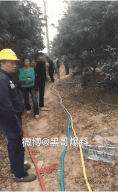GIF_20260318_103924_427.gif
