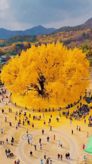 다운로드 (1).gif