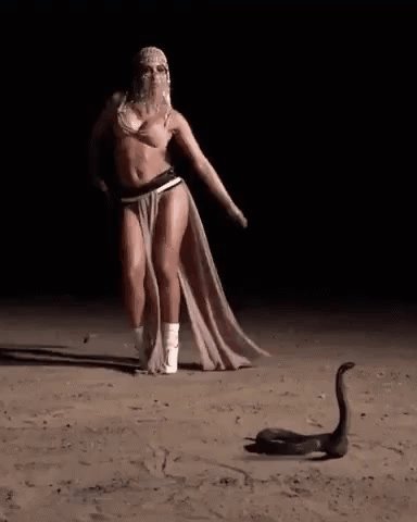 GIF_20260318_160208_996.gif