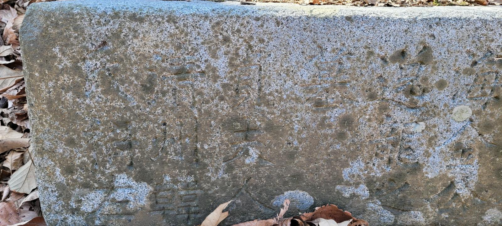 1000035517.jpg
